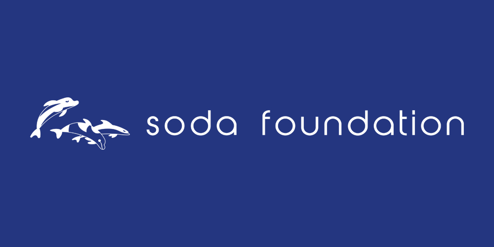 Soda Foundation